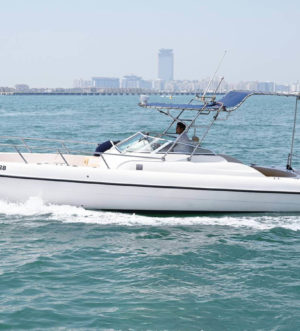 «mini Yacht 31» Аренда яхты в Дубаи
