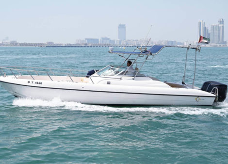«mini Yacht 31» Аренда яхты в Дубаи