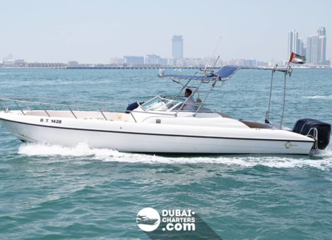 «mini Yacht 31» Аренда яхты в Дубаи
