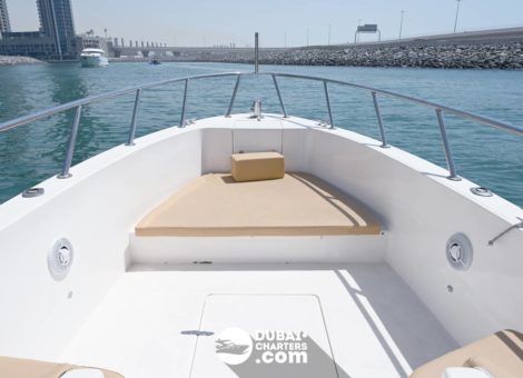 «mini Yacht 31» Аренда яхты в Дубаи