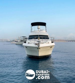 «tamani 53» Аренда яхты в Дубаи